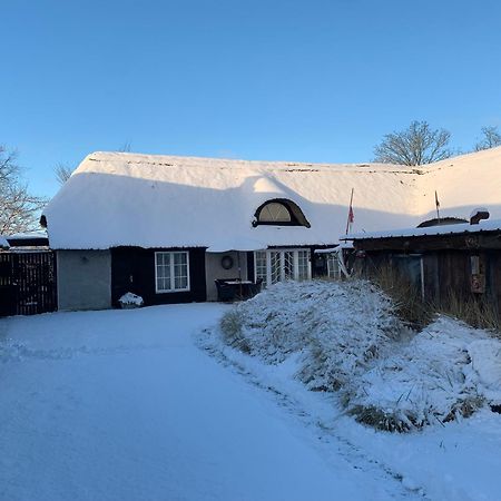 Farm61 Badehotellet I Det Midtjydske - Alder +18 Ar Tjele Екстериор снимка