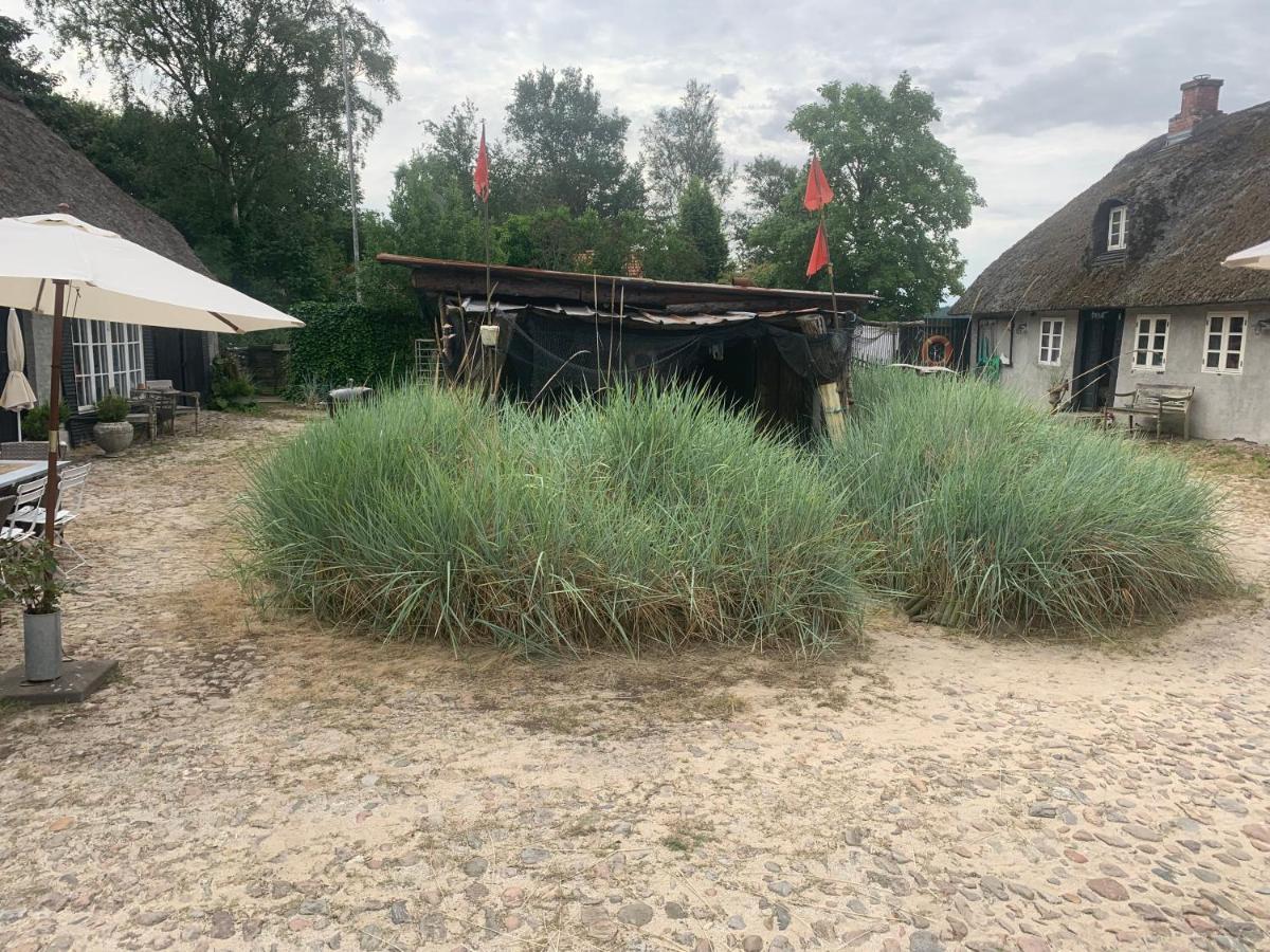Farm61 Badehotellet I Det Midtjydske - Alder +18 Ar Tjele Екстериор снимка